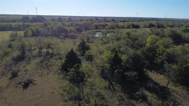 a view of a dry field with trees in the background