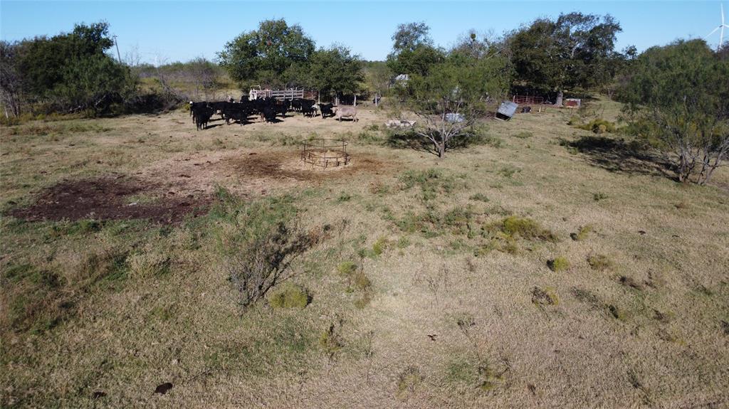 0 County Road 3363 Mount Calm, TX 76673 - Photo 22 of 24 a view of outdoor space with trees all around