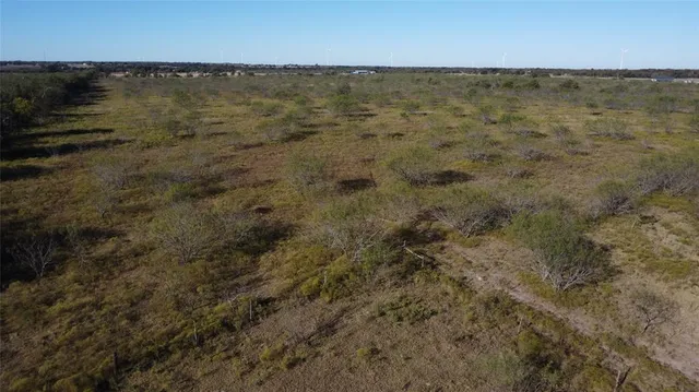 a view of a lake with lots of trees