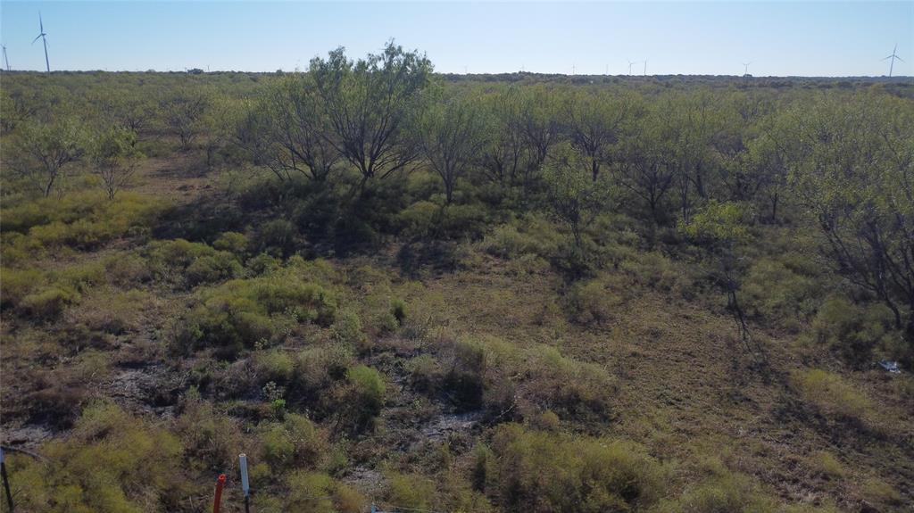 0 County Road 3363 Mount Calm, TX 76673 - Photo 7 of 24 a view of a valley