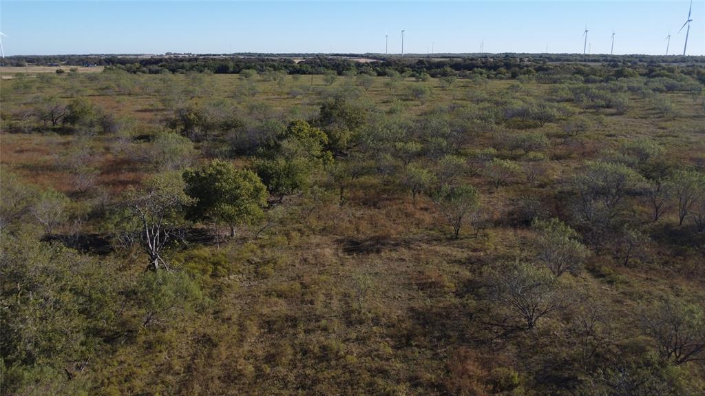 0 County Road 3363 Mount Calm, TX 76673 - Photo 10 of 24 a view of a dry yard