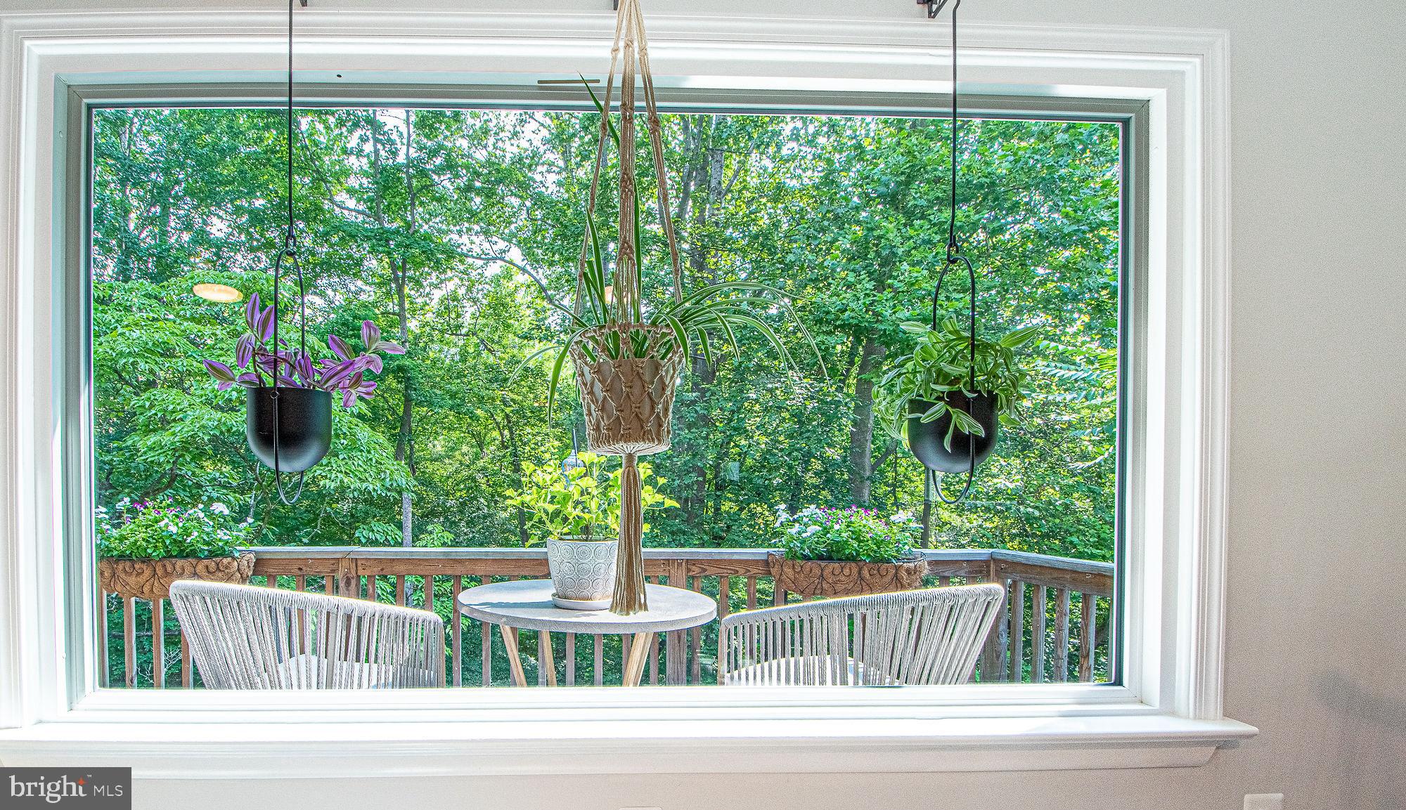 61 Mt Marshall Road Washington, VA 22747 - Photo 15 of 54 a view of a porch with a yard and outdoor space
