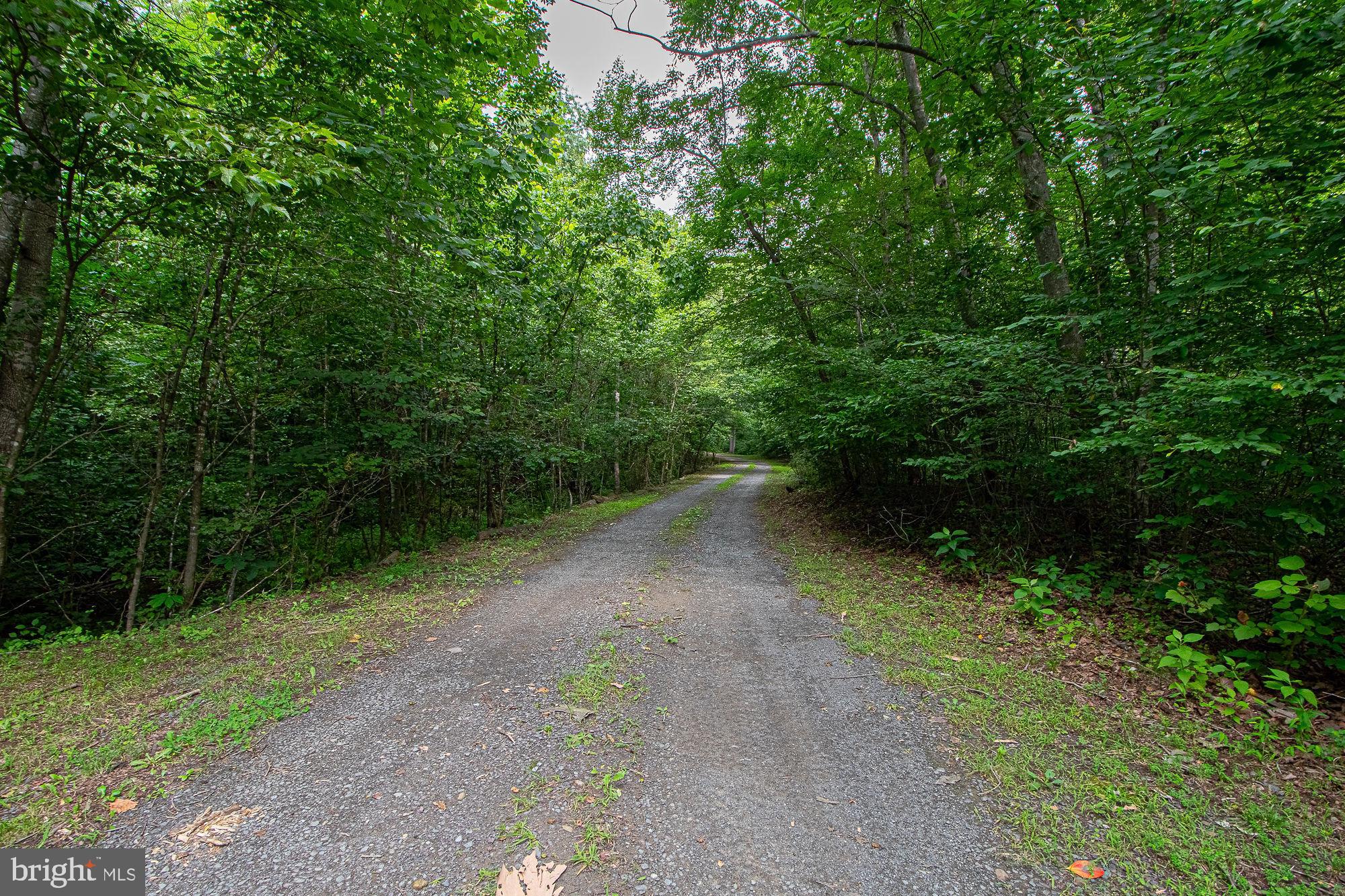 61 Mt Marshall Road Washington, VA 22747 - Photo 50 of 54 a view of a road with a yard