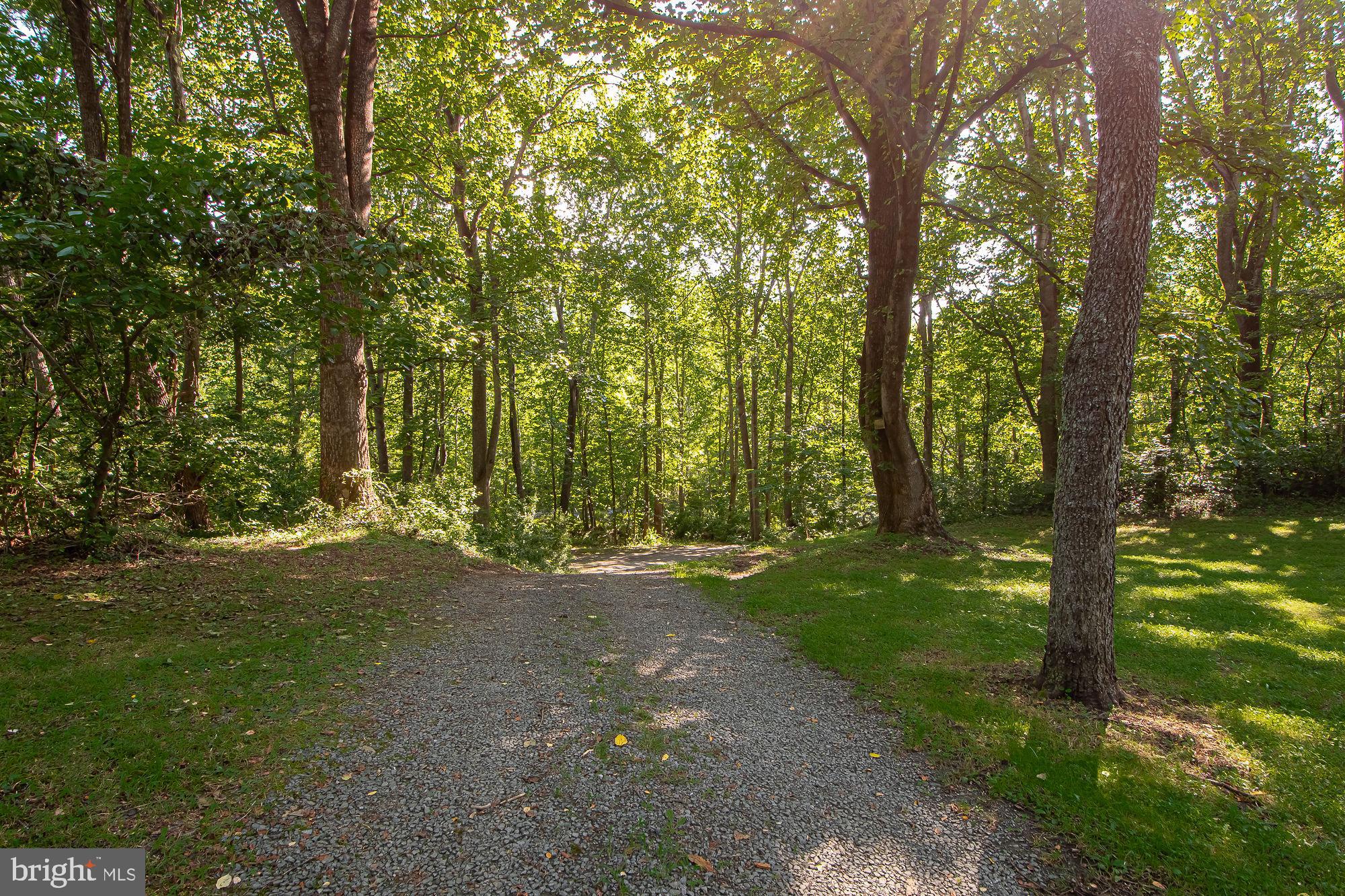 61 Mt Marshall Road Washington, VA 22747 - Photo 51 of 54 a backyard of a house with lots of green space