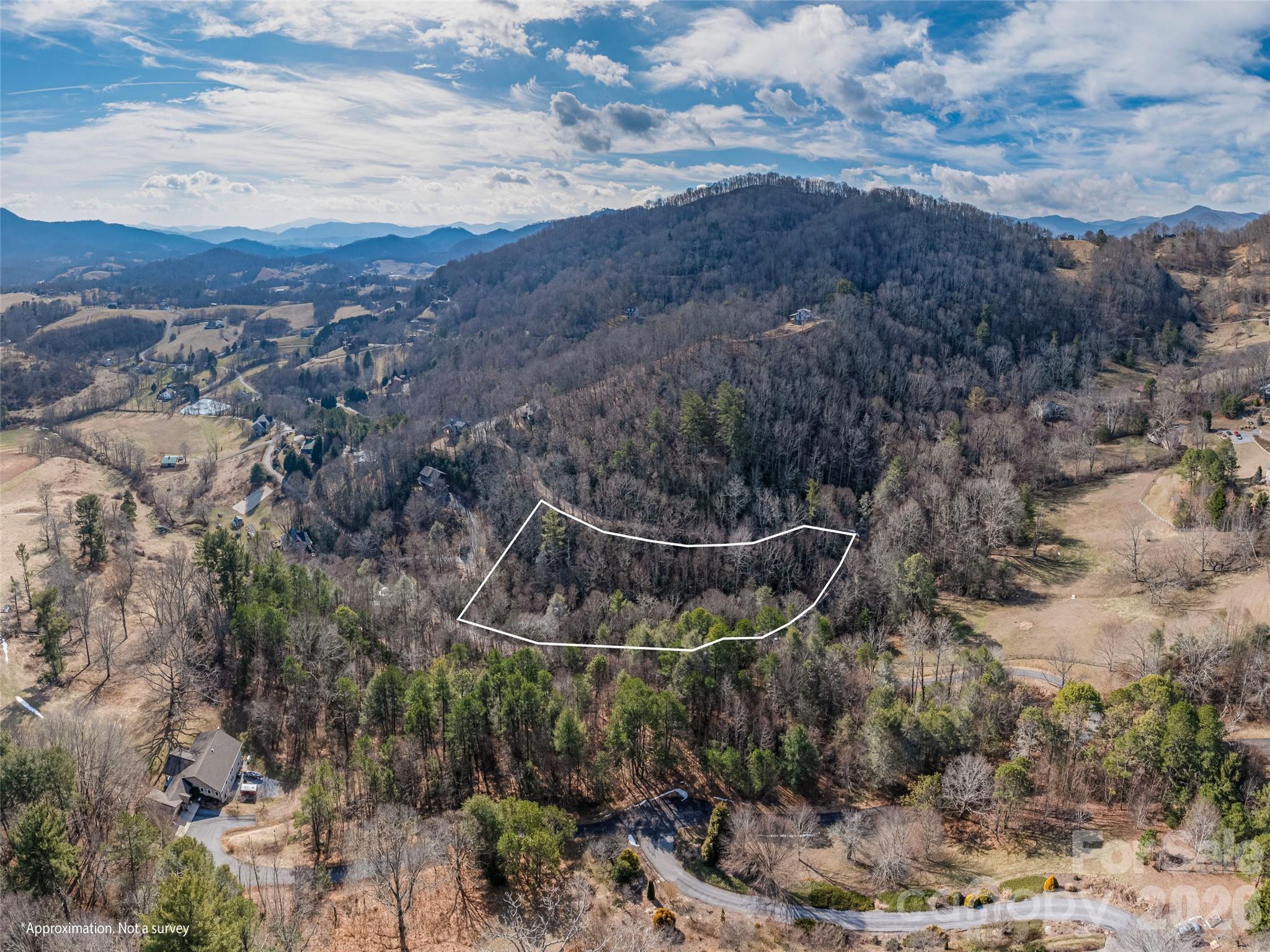 0 Coyote Hollow Road Waynesville, NC 28785 - Photo 8 of 12