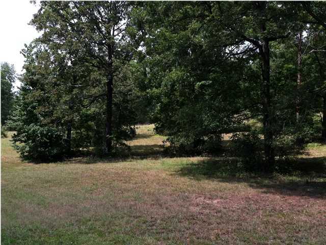 1632 Ketner Cove Road Whitwell, TN 37397 - Photo 9 of 14 Additional Photo