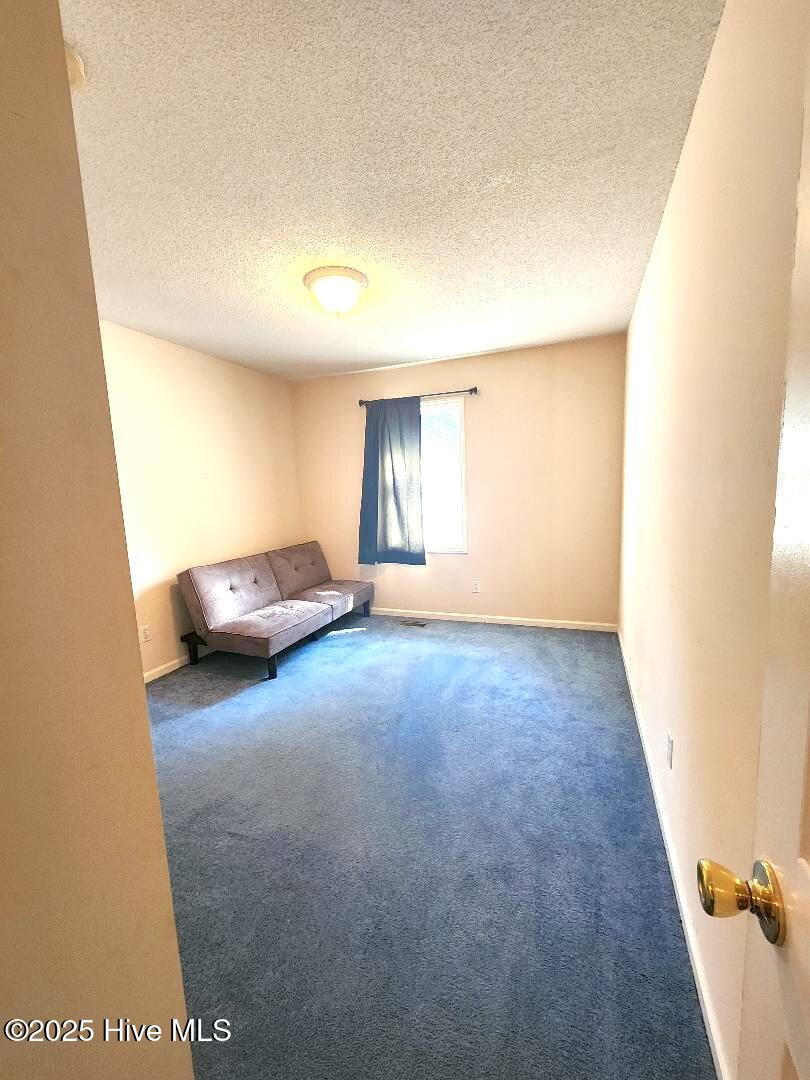 1035 Spring Forest Road, Unit D10 Greenville, NC 27834 - Photo 11 of 15 bed2