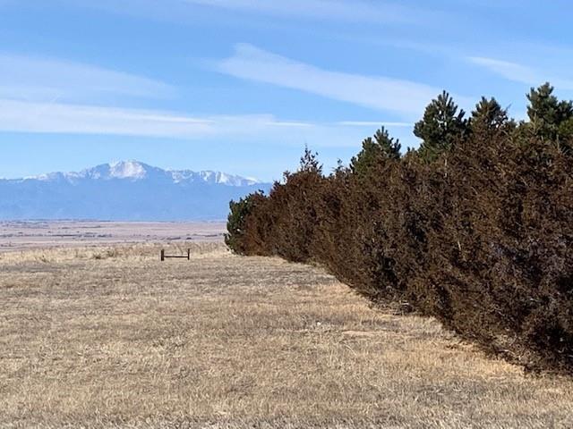 9860 Hahn Road Calhan, CO 80808 - Photo 4 of 34 Gallery Image 4