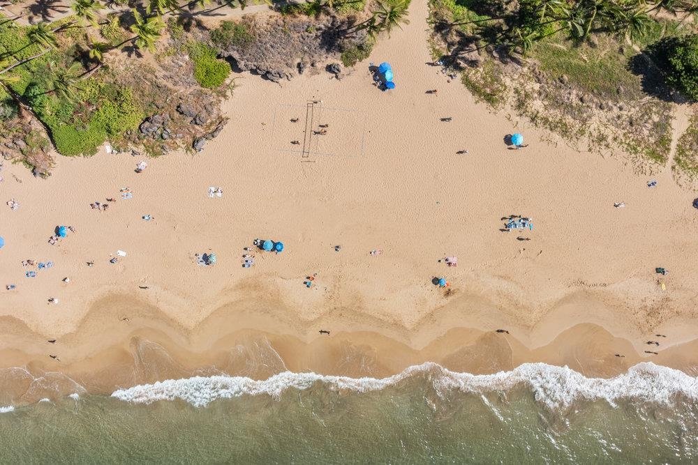 2191 South Kihei Road, Unit 2413 Kihei, HI 96753 - Photo 32 of 32 a view of a painting of the tree