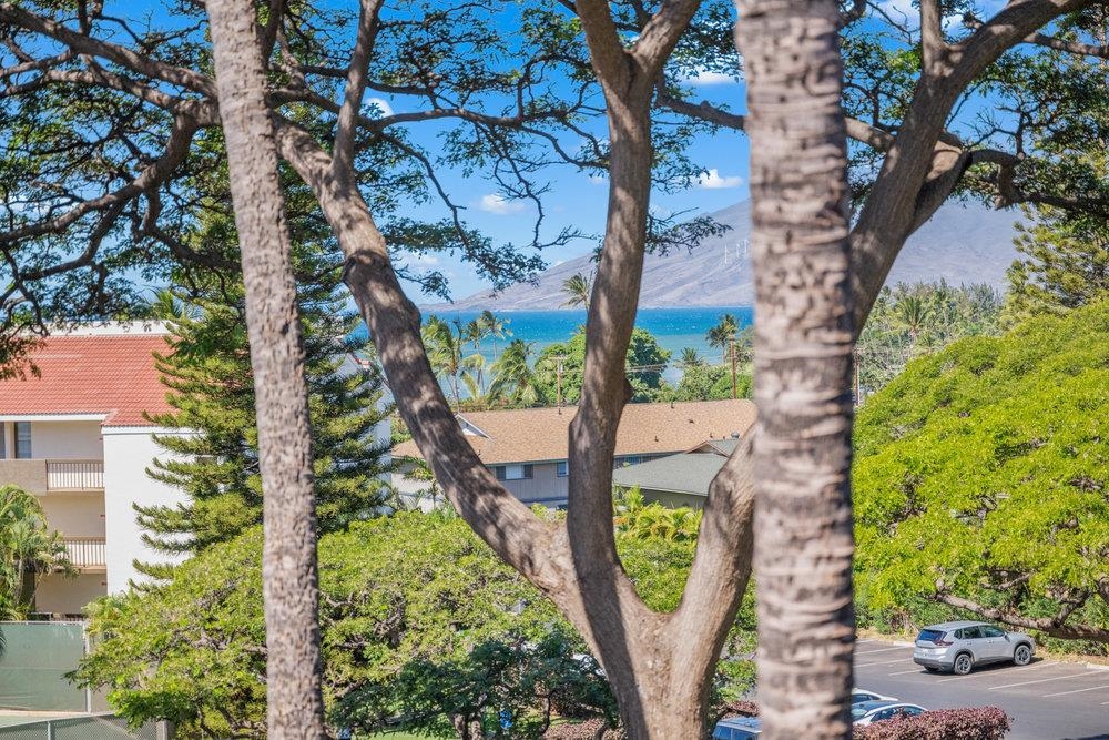 2191 South Kihei Road, Unit 2413 Kihei, HI 96753 - Photo 9 of 32 a view of a backyard with plants