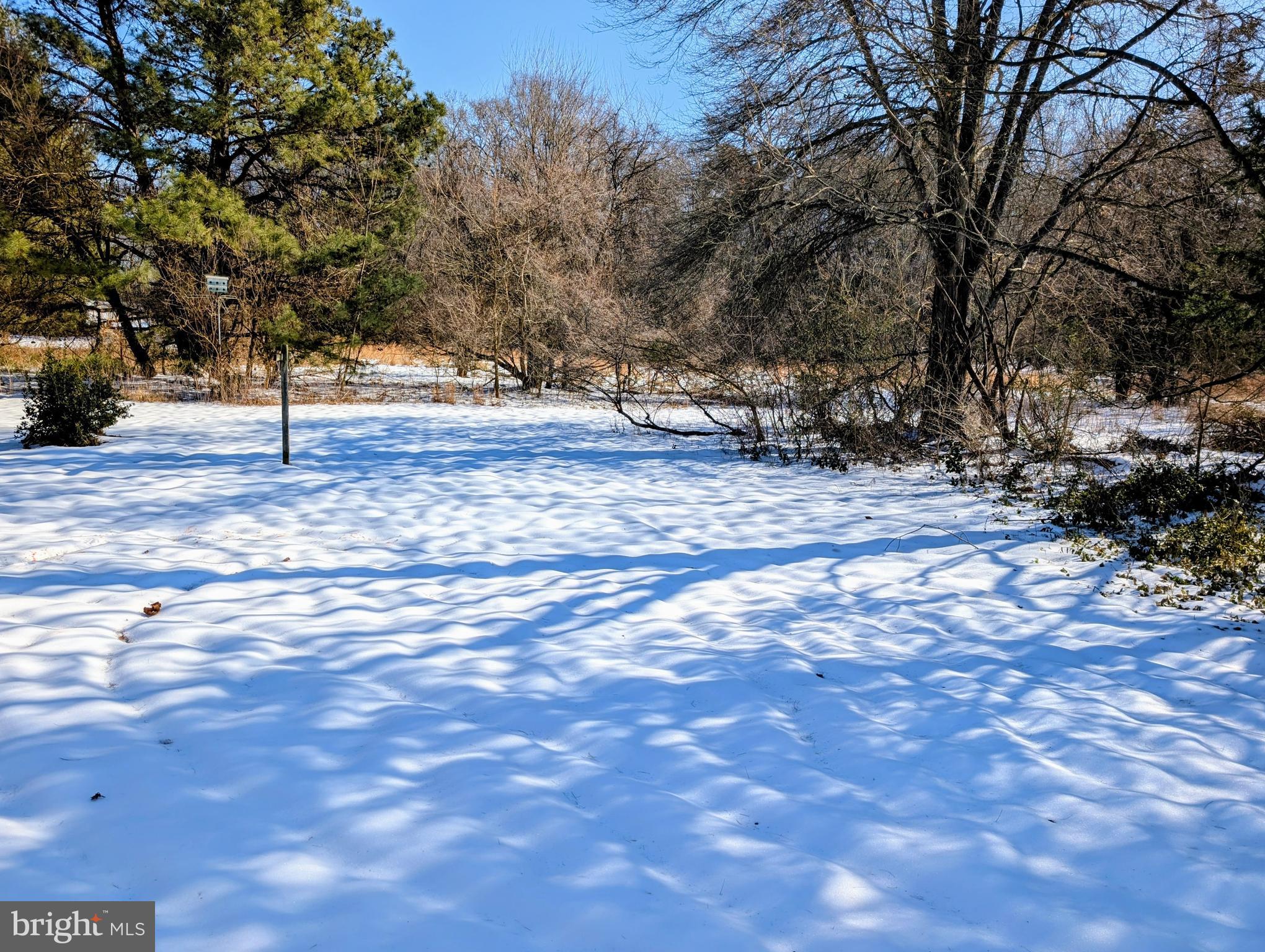 11373 Beideman Road Lincoln, DE 19960 - Photo 34 of 35 back yard