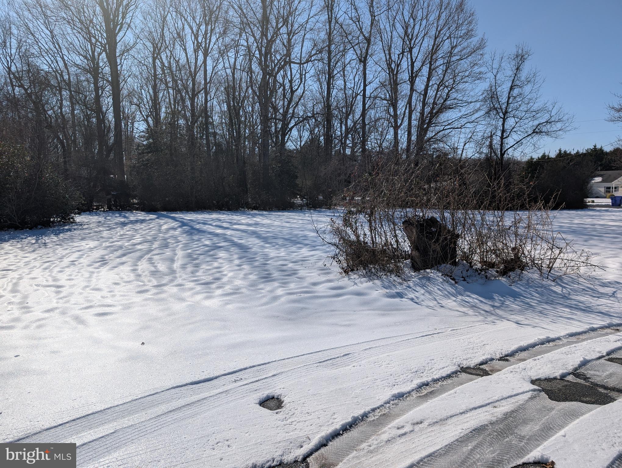 11373 Beideman Road Lincoln, DE 19960 - Photo 35 of 35 side yard