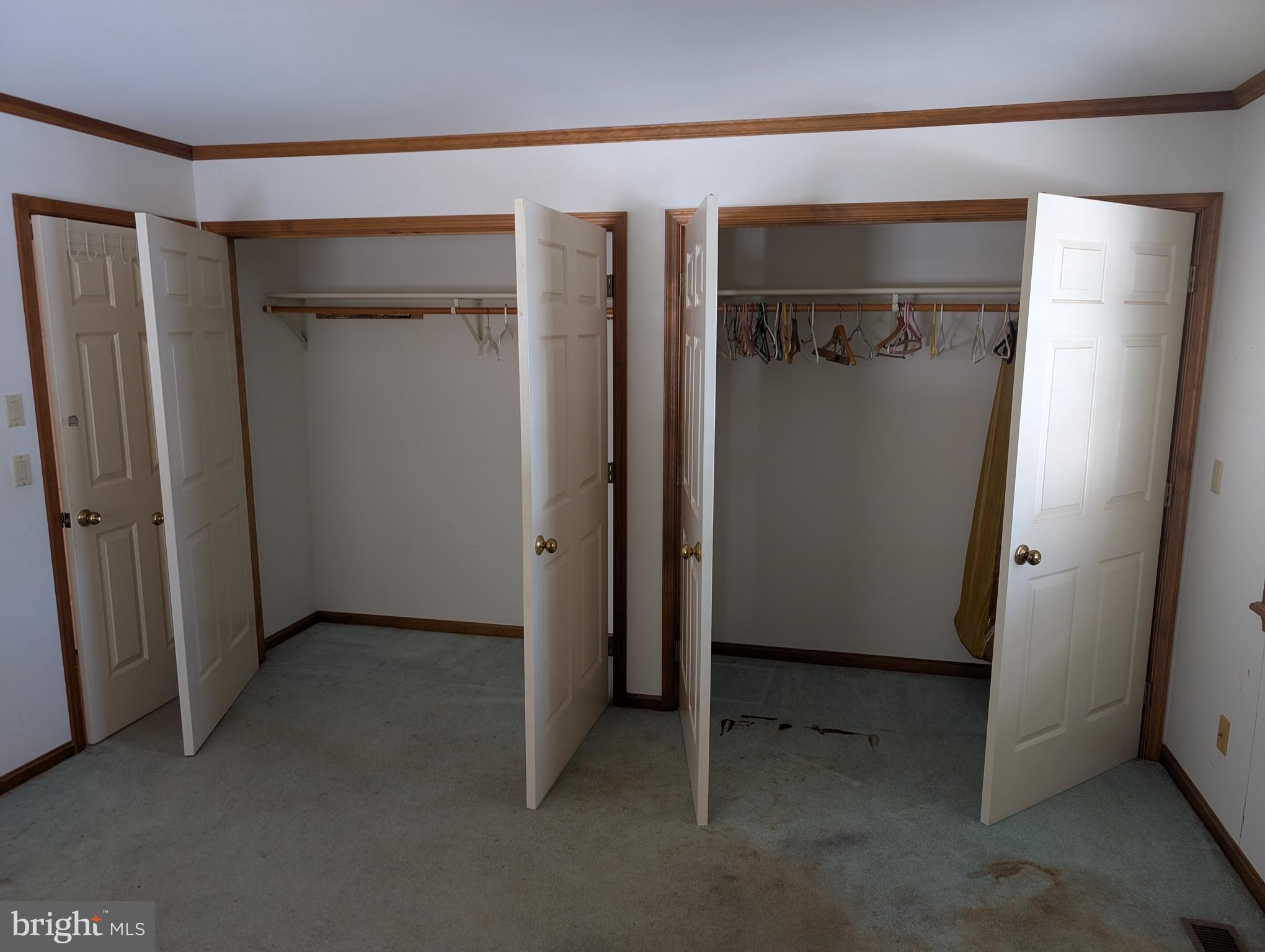 11373 Beideman Road Lincoln, DE 19960 - Photo 6 of 35 master closets