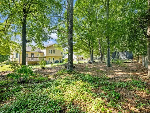 a view of a yard with plants and trees