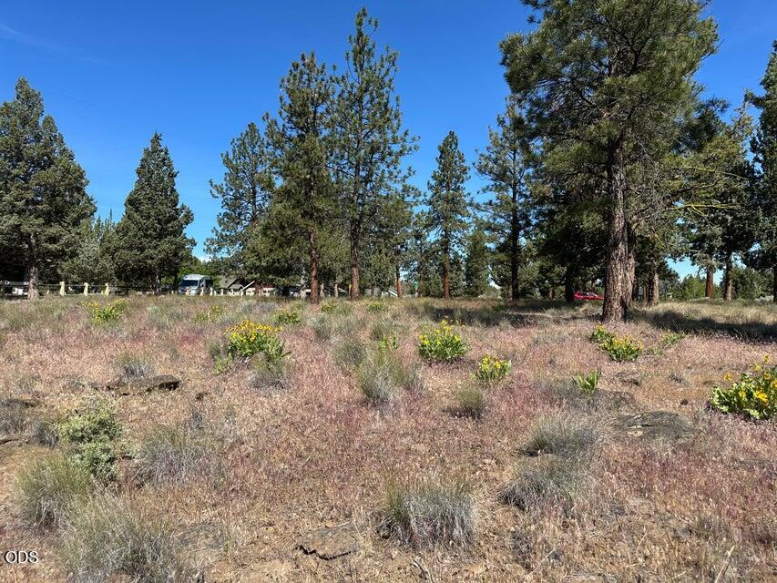 17127 Mountain View Road Sisters, OR 97759 - Photo 13 of 16 Gallery Image 13