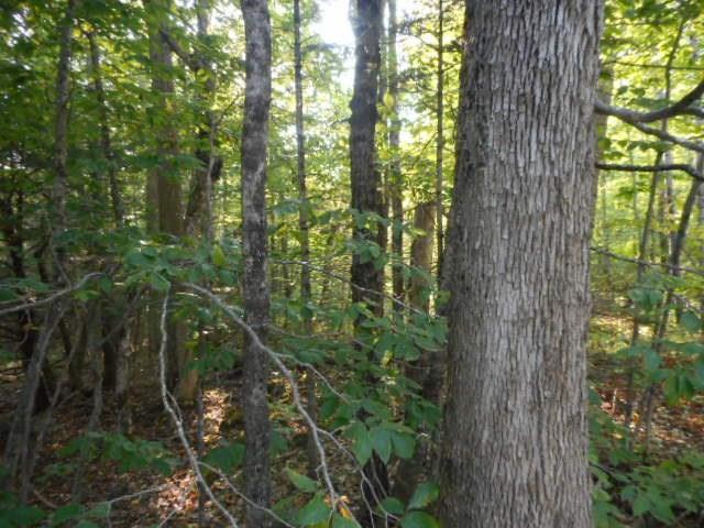 30 Seboeis Road Howland, ME 04448 - Photo 27 of 30 Photo