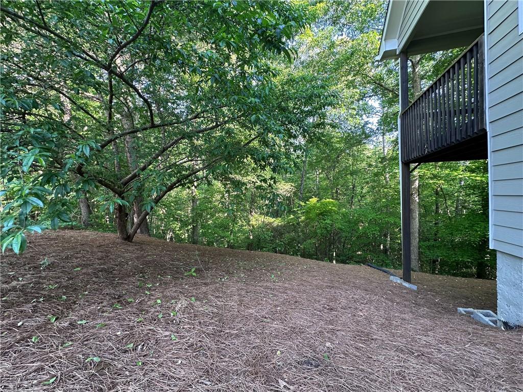 261 Potomac Drive Dallas, GA 30132 - Photo 58 of 76 a view of a backyard with a tree