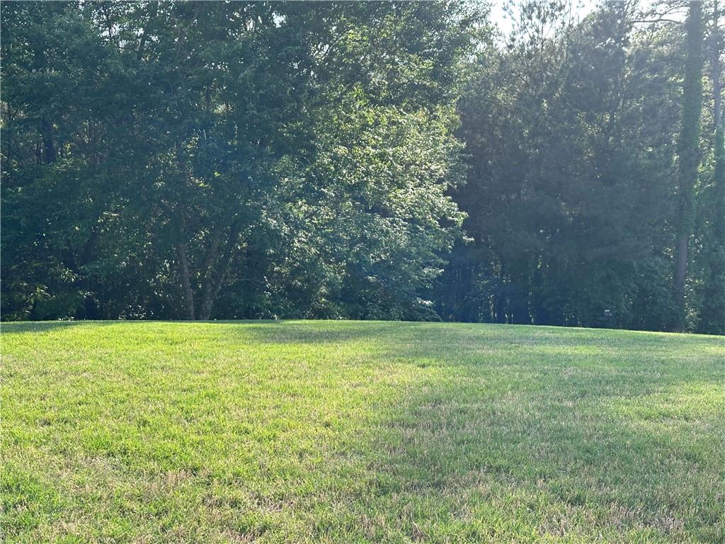 261 Potomac Drive Dallas, GA 30132 - Photo 60 of 76 a view of outdoor space and yard