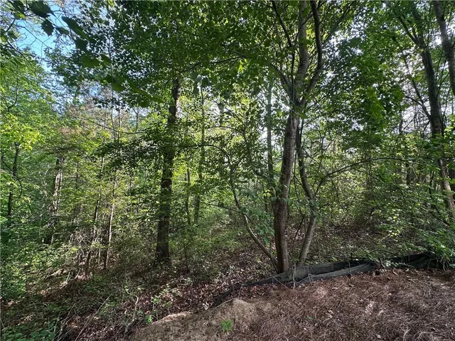 $489,900 | 261 Potomac Drive, Dallas, GA 30132