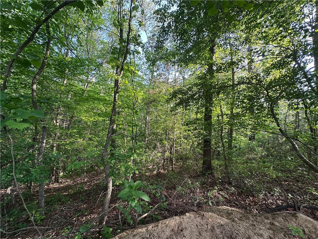 261 Potomac Drive Dallas, GA 30132 - Photo 63 of 76 a view of a forest with a tree