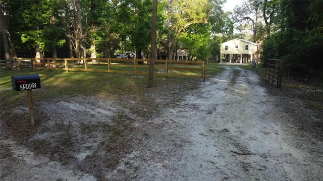 a view of a big yard with table and chairs and plants
