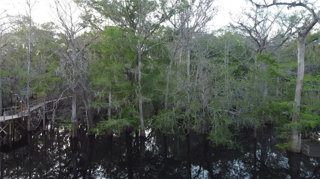 an aerial view of residential house with outdoor space and trees all around