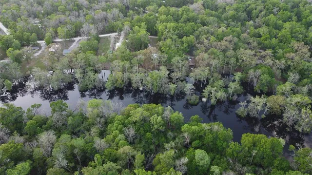 a view of park with trees