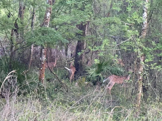 $499,990 | 29002 River Run Road, Branford, FL 32008