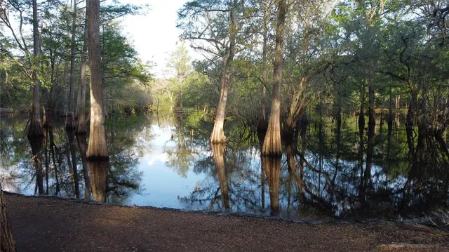 a view of a yard in a street