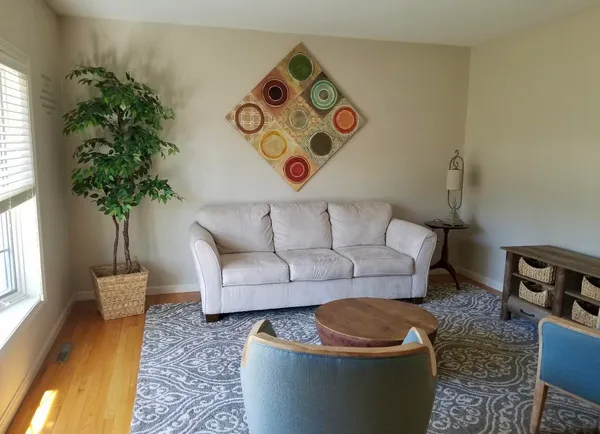 a living room with furniture and a potted plant