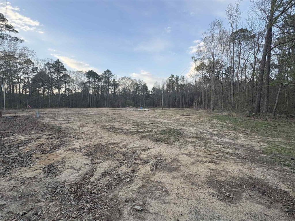 1711 Arkla Plant Road Haughton, LA 71037 - Photo 1 of 5 a view of an outdoor space and a yard