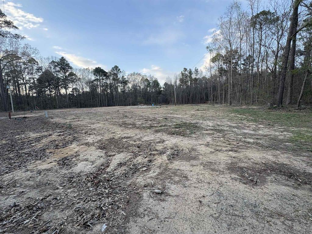 1711 Arkla Plant Road Haughton, LA 71037 - Photo 2 of 5 a view of dirt field