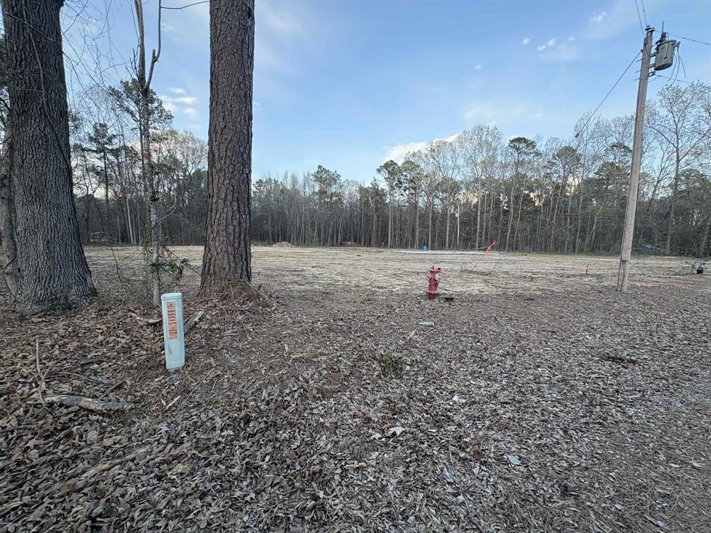 1711 Arkla Plant Road Haughton, LA 71037 - Photo 3 of 5 a ground with lots of tall trees