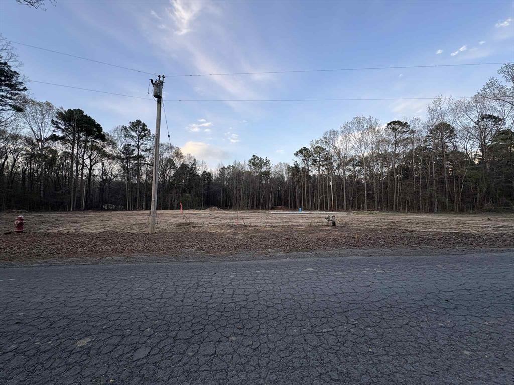 1711 Arkla Plant Road Haughton, LA 71037 - Photo 4 of 5 a view of a garden with a tree in the background