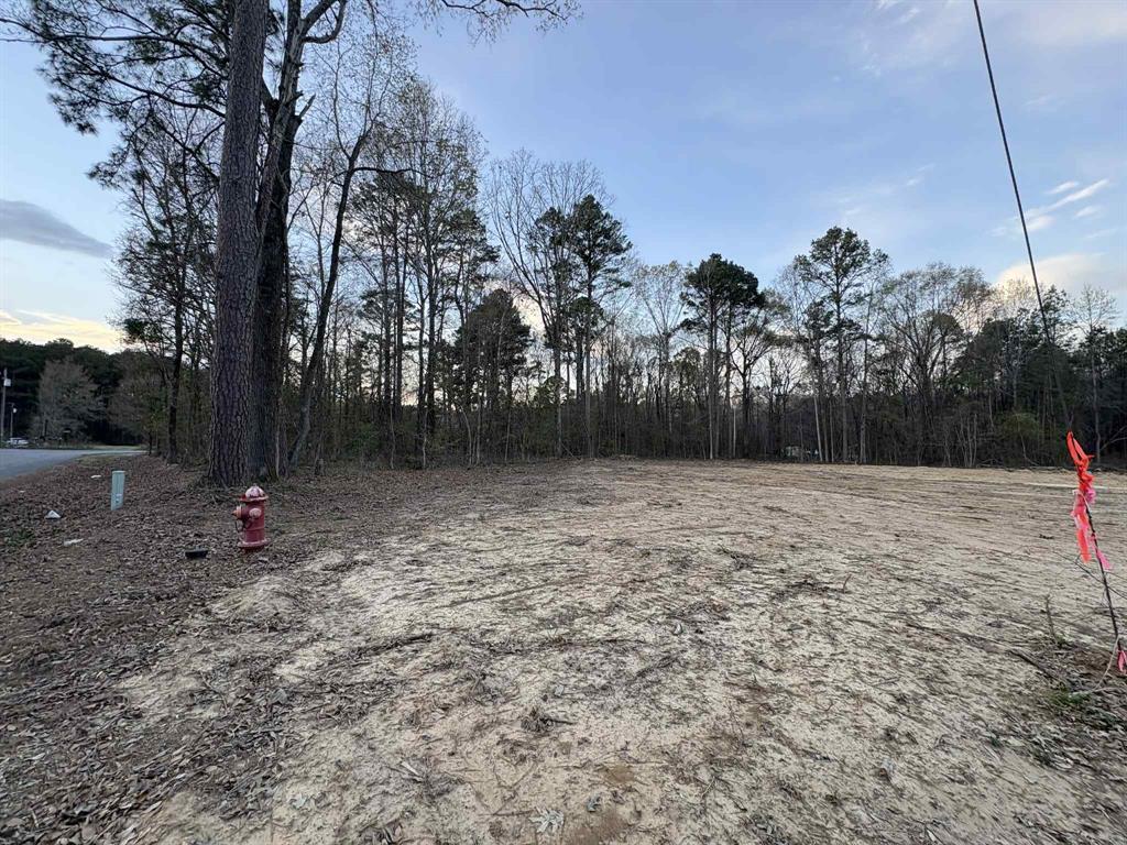 1711 Arkla Plant Road Haughton, LA 71037 - Photo 5 of 5 a backyard of a house with lots of green space