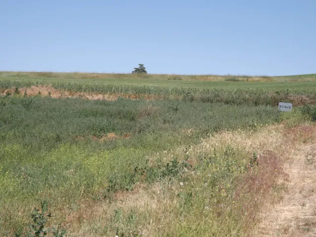 $84,500 | Xxx East Xxx E A Street, Rosalia, WA 99170