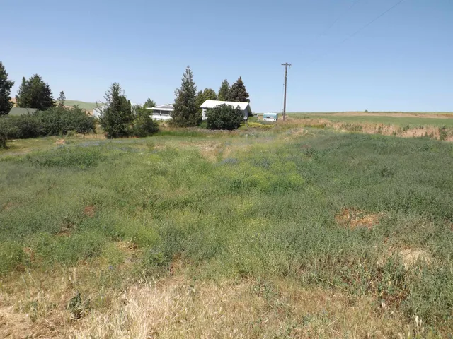 $84,500 | Xxx East Xxx E A Street, Rosalia, WA 99170
