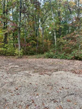 $139,900 | 3292 Skidmore Road, Brethren, MI 49619