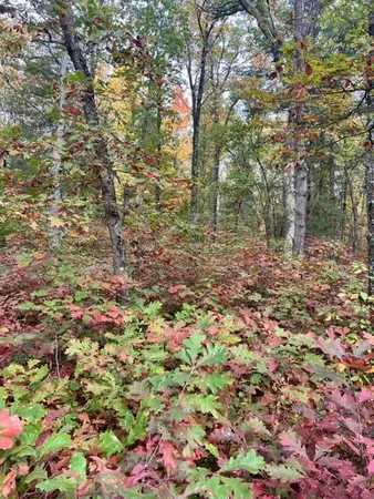 $139,900 | 3292 Skidmore Road, Brethren, MI 49619