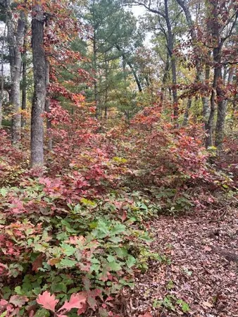 $139,900 | 3292 Skidmore Road, Brethren, MI 49619