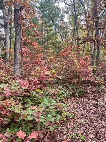 $139,900 | 3292 Skidmore Road, Brethren, MI 49619