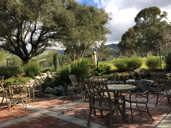 a view of a chairs and table in backyard