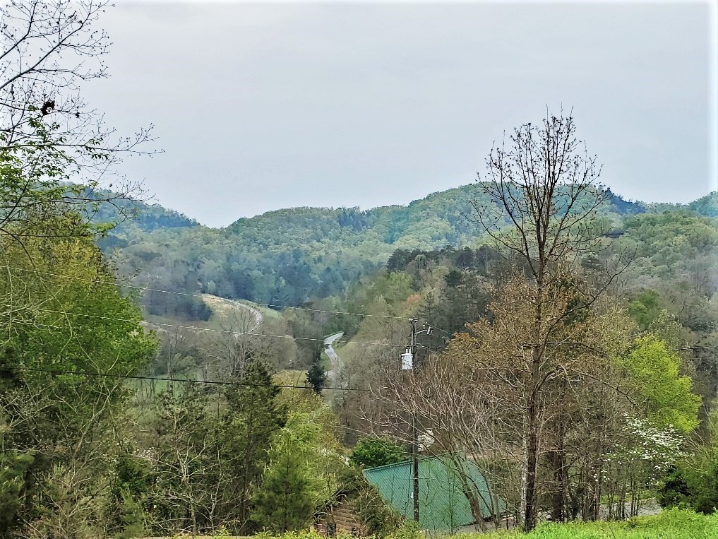 6061 Red Cedar Lane Sevierville, TN 37876 - Photo 7 of 9