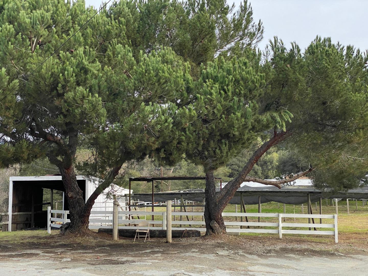 241 Webb Road Watsonville, CA 95076 - Photo 32 of 40 a view of house with large trees and playing area
