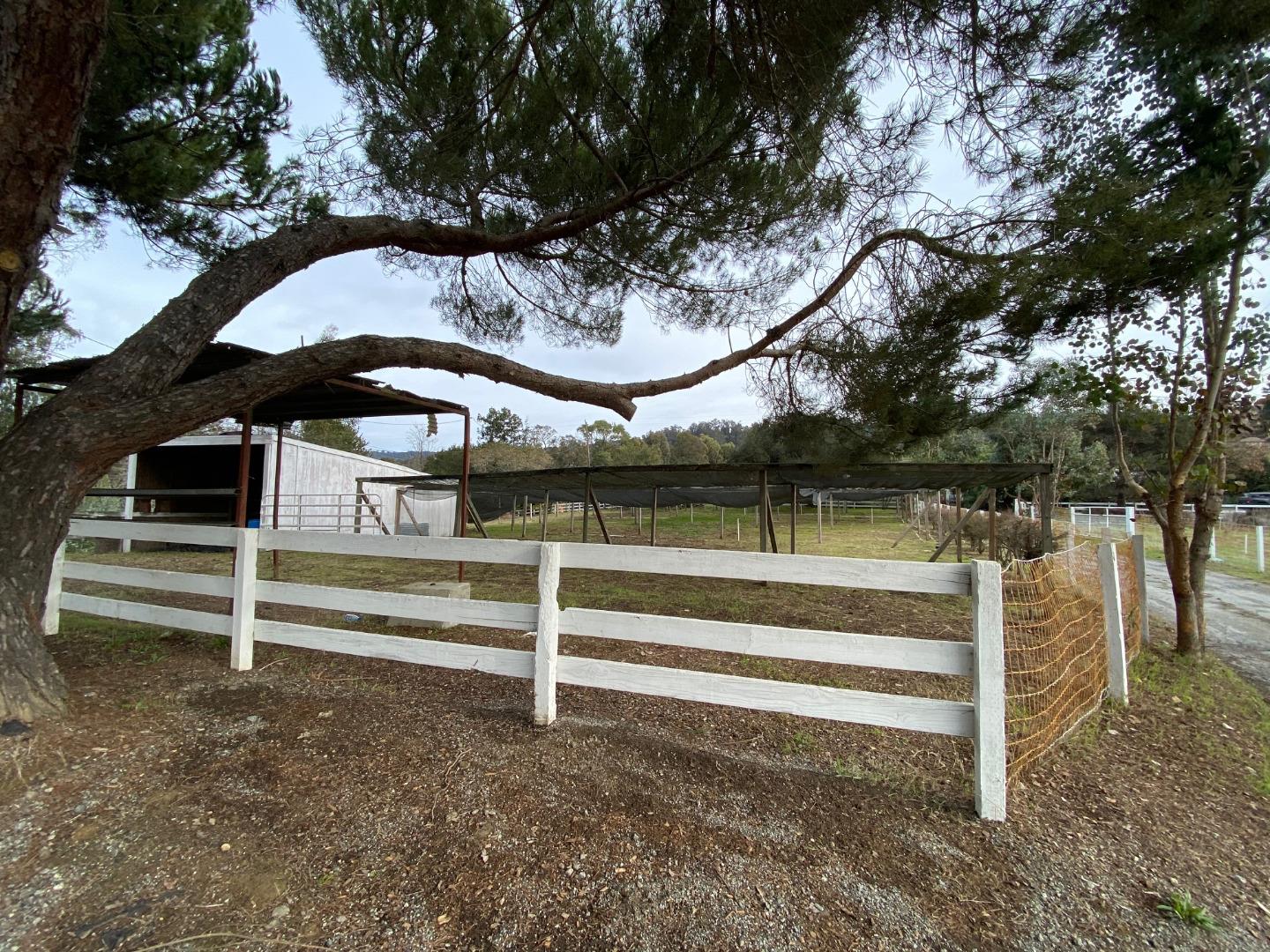 241 Webb Road Watsonville, CA 95076 - Photo 34 of 40 a view of statue in a yard
