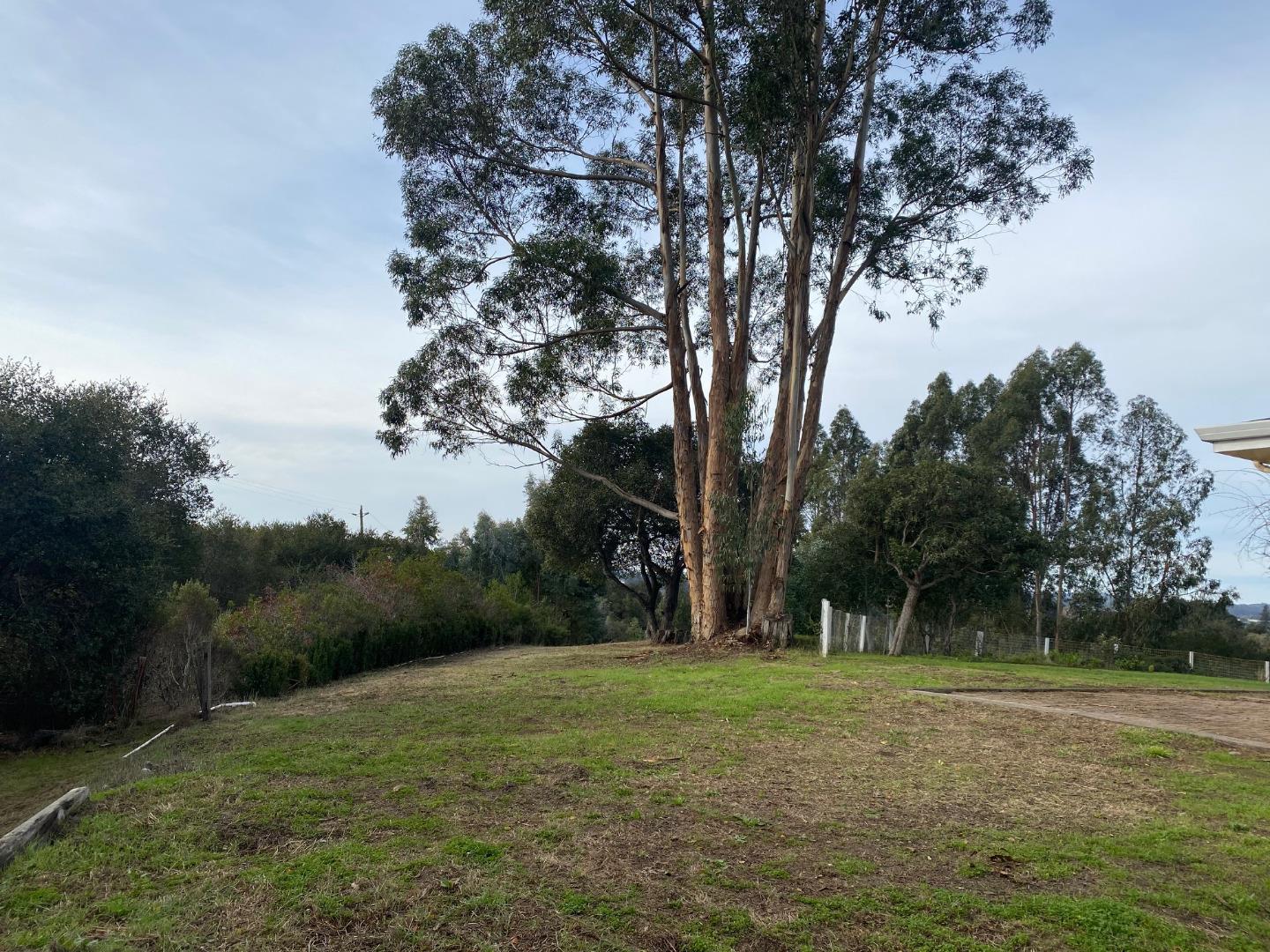241 Webb Road Watsonville, CA 95076 - Photo 36 of 40 a view of outdoor space with green field and trees all around