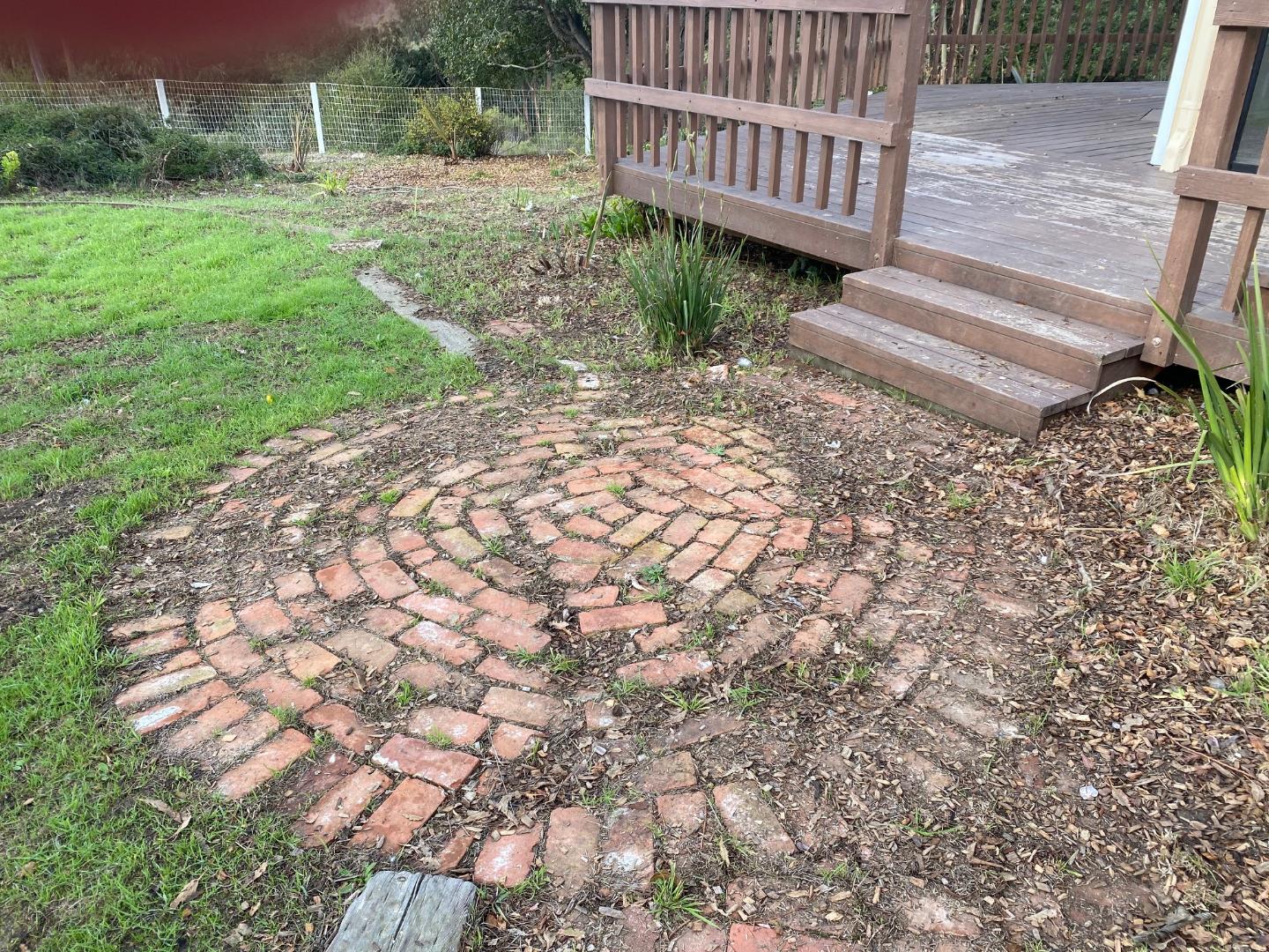 241 Webb Road Watsonville, CA 95076 - Photo 5 of 40 a view of a backyard with a garden
