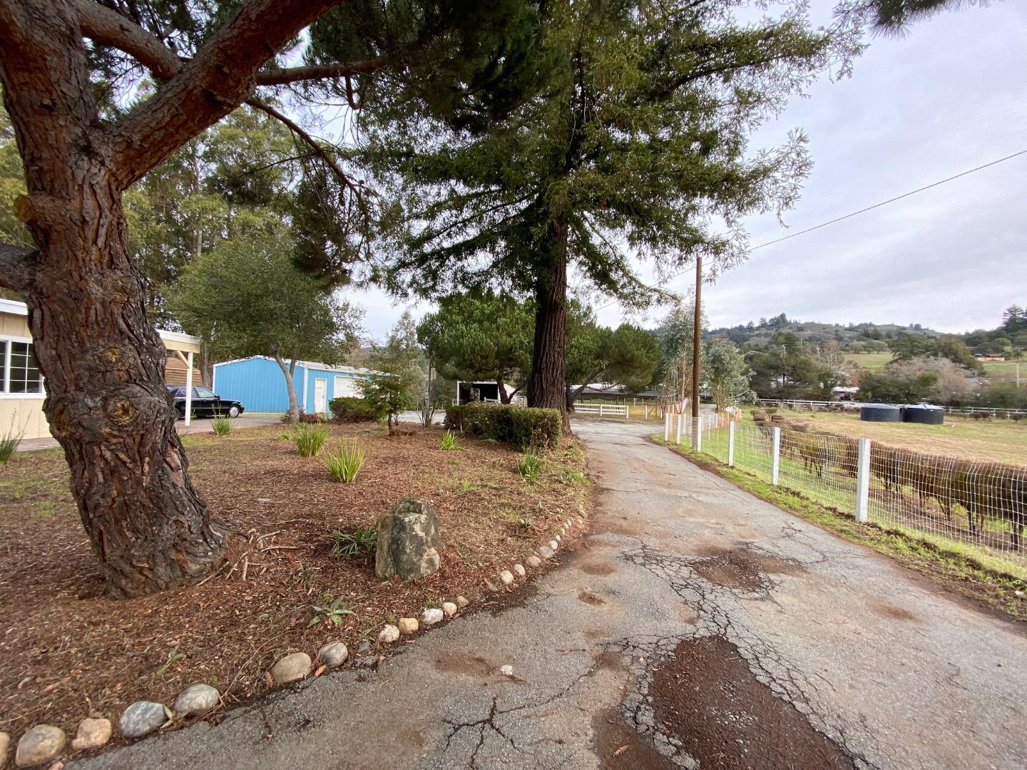 241 Webb Road Watsonville, CA 95076 - Photo 8 of 40 a view of a park with large trees