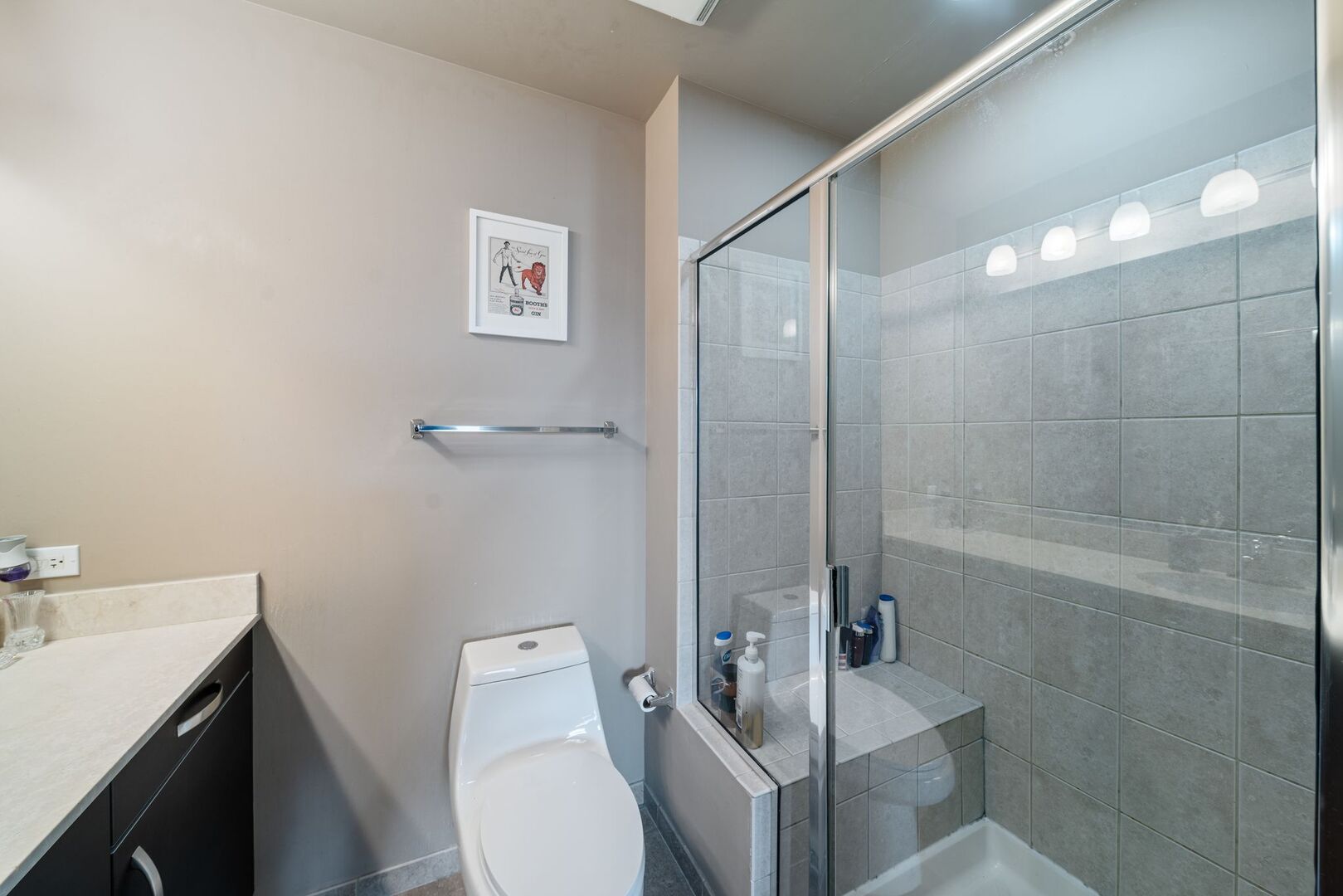 225 South Sangamon Street, Unit 308 Chicago, IL 60607 - Photo 17 of 34 a bathroom with a sink a toilet and shower