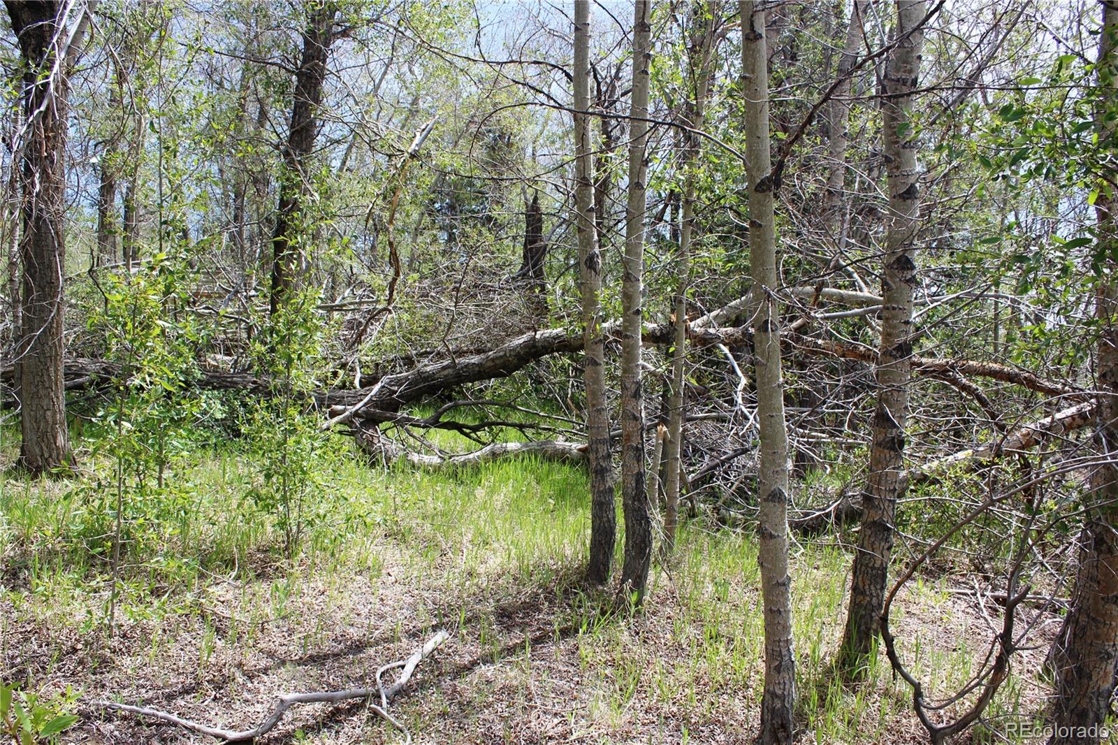 0 Quartz Hill Road Central City, CO 80427 - Photo 28 of 30